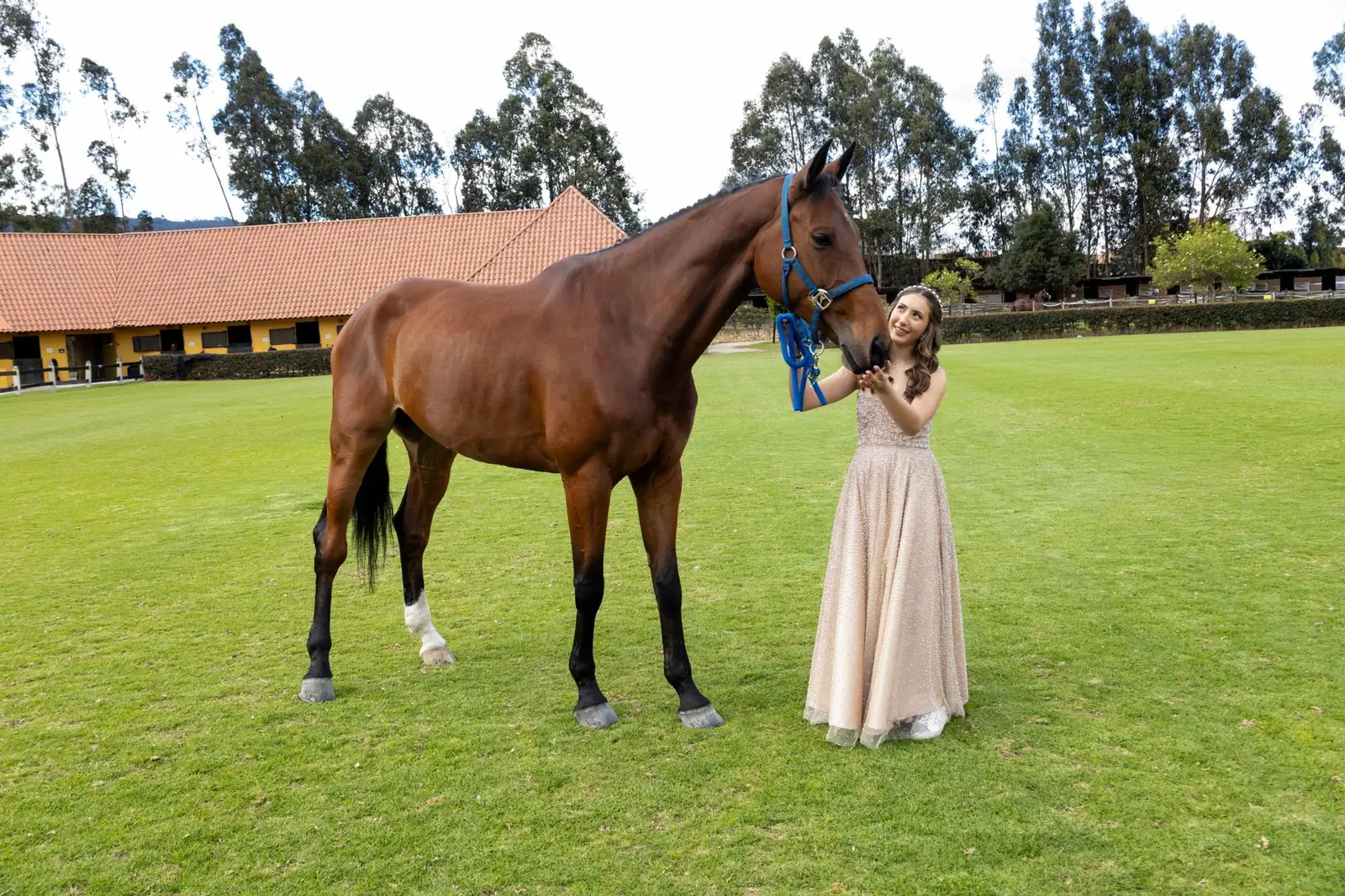 Quinceañera acariciando un caballo en un campo de equitación